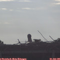 07_55-mast.jpg