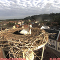 07_55-nest.jpg