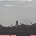 08_00-mast.jpg