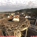 08_00-nest.jpg
