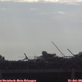 08_05-mast.jpg