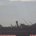 08_10-mast.jpg