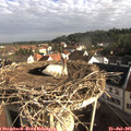 08_10-nest.jpg