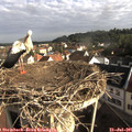 08_15-nest.jpg