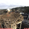 08_25-nest.jpg