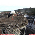 08_35-nest.jpg