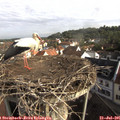 08_45-nest.jpg