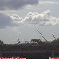 08_55-mast.jpg