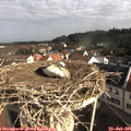 08_55-nest.jpg