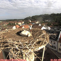 09_00-nest.jpg