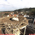 09_05-nest.jpg