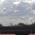 09_10-mast.jpg