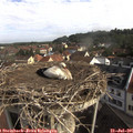 09_10-nest.jpg