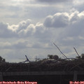 09_15-mast.jpg