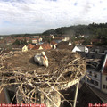 09_15-nest.jpg