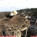 09_20-nest.jpg