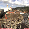 10_15-nest.jpg