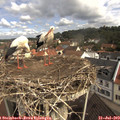 10_35-nest.jpg