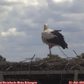 11_40-mast.jpg