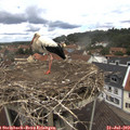 12_25-nest.jpg