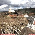 12_30-nest.jpg