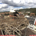 12_35-nest.jpg