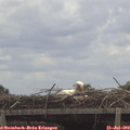 12_45-mast.jpg