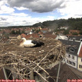 12_45-nest.jpg