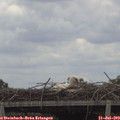 13_00-mast.jpg