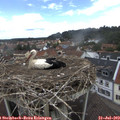 13_05-nest.jpg