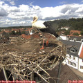 13_40-nest.jpg