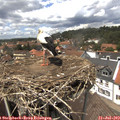 13_55-nest.jpg