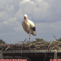14_00-mast.jpg