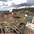 14_00-nest.jpg