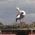 14_20-mast.jpg