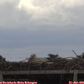 14_30-mast.jpg