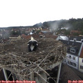 14_30-nest.jpg