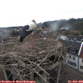 14_55-nest.jpg