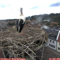 15_05-nest.jpg