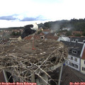 15_45-nest.jpg
