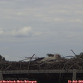 16_05-mast.jpg