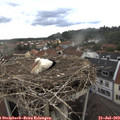 16_05-nest.jpg