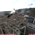 16_25-nest.jpg