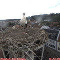 16_30-nest.jpg