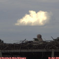 16_35-mast.jpg