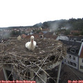 16_35-nest.jpg