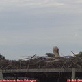 16_45-mast.jpg