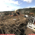 17_35-nest.jpg