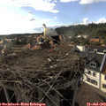 17_40-nest.jpg