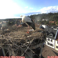18_10-nest.jpg